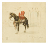 Album Afrique Giclee Print by Denis Auguste Marie Raffet