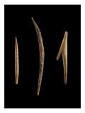 A Small Point, a Small Peak Curve (Hook) and a Spear Giclee Print