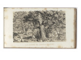 Album: Memories of Fontainebleau Said "Album Juniper" Giclee Print