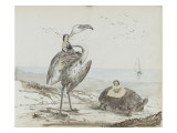 Album de familCavendish: vieildame en amazone sur un flamant, et petite filsur une tortu Giclee-trykk av Georgiana Berkeley