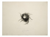 Album; Tête d'araignée dans un corps d'araignée Lámina giclée por Odilon Redon Album; Tête d'araignée dans un corps d'araignée Lámina giclée por Odilon Redon
