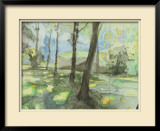 People's Park Limited Edition Framed Print by Tatara 