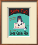 Shih Tzu Limited Edition Framed Print by Ken Bailey