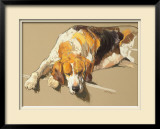 Hound in a Kennel Limited Edition Framed Print by Andre Pater