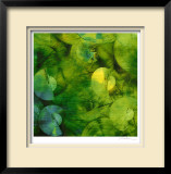 Nautilus in Green II Limited Edition Framed Print by Sharon Gordon