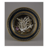 Service des Merveilles de la Nature Giclee Print
