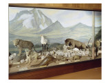 Diorama du Mont Kenya Lámina giclée