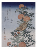 Bec croisé et chardon Lámina giclée por Katsushika Hokusai Bec croisé et chardon Lámina giclée por Katsushika Hokusai