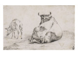 Vache couchée et porc Lámina giclée por Paulus Potter Vache couchée et porc Lámina giclée por Paulus Potter