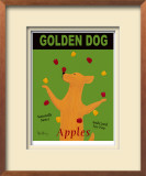 Golden Dog Limited Edition Framed Print by Ken Bailey