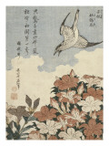 Coucou et azalées Lámina giclée por Katsushika Hokusai