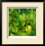 Nautilus in Green I Limited Edition Framed Print by Sharon Gordon
