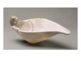 Cuiller à fard en coquille orné d'une tête d'hippopotame Lámina giclée