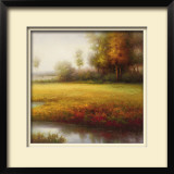 Meadow Light Limited Edition Framed Print by Li Yong Nam