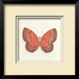 Butterfly I Limited Edition Framed Print by Sophie Golaz