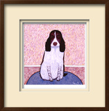 Patience - Springer Spaniel Limited Edition Framed Print by Ken Bailey