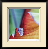 Banana Leaves III Limited Edition Framed Print by Joy Doherty