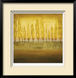 My Backyard I Limited Edition Framed Print by Jensen 