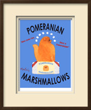 Pomeranian Marshmallows Limited Edition Framed Print by Ken Bailey