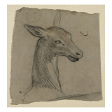 Tête de biche Giclee Print by Charles Le Brun