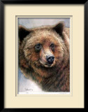 Grizzly Bear Limited Edition Framed Print by Robert Pow