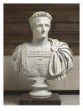 Domitien (empereur de 81 à 96 ap J.-C.) Lámina giclée