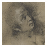 Femme en buste Lámina giclée por Bernardo Strozzi