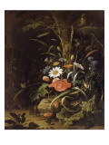 Fleurs, oiseaux, insectes et reptiles reproduction procédé giclée par Abraham Mignon