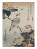 Gros-bec et mirabilis reproduction procédé giclée par Katsushika Hokusai