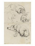 Quatre des de cochons Giclee Print by Jean-François Millet