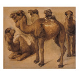 Cinq chameaux Giclee Print by Pieter Boel