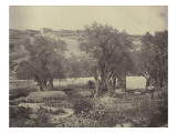 Jardin des Oliviers près de Jérusalem Giclee Print by James Robertson