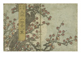 Lieux cbres de Namiwa reproduction procédé giclée par Yashima Gakutei