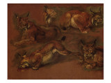cinq lynx Giclee Print by Pieter Boel