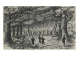 Forêt de Fontainebleau, les séjours de la cour Napoléon III Lámina giclée