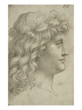 Tête de jeune homme couronné de feuilles de chêne Giclee-trykk av Giovanni Antonio Boltraffio Tête de jeune homme couronné de feuilles de chêne Giclee-trykk av Giovanni Antonio Boltraffio