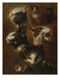 Têtes de chats, un lapin, une tête de chèvre Reproduction procédé giclée par Pieter Boel