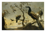 Oiseaux sur des branches reproduction procédé giclée par Frans Snyders