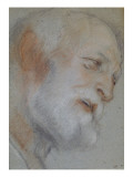 Tête de vieillard barbu, inclinée vers la droite, de profil Wydruk giclee autor Jacopo Bassano Tête de vieillard barbu, inclinée vers la droite, de profil Wydruk giclee autor Jacopo Bassano