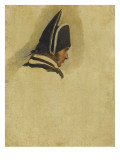 Tête d'homme coiffée d'un bicorne . Etude Giclee Print by Horace Vernet