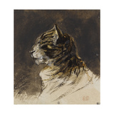 T? de chat ; vers 1824-1829 Giclée-tryk af Eugene Delacroix T? de chat ; vers 1824-1829 Giclée-tryk af Eugene Delacroix