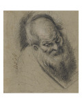 Tête de vieillard barbu légèrement tourné vers la droite Lámina giclée por Bernardo Strozzi