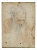 Homme barbu, vu en buste, penché en avant Giclée-tryk af Matteo Rosselli