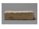 Brick Foundation of Darius I in Old Persian Entered Giclee Print