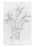 Baobab Giclee Print by Gustave Moreau
