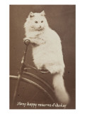 Carte de visite Reproduction procédé giclée