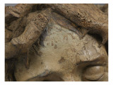 Tête de Christ couronné d'épines Giclee Print by Ligier Richier