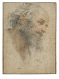Head of Bearded Man Seen Three-Quarters, Facing Right Giclée-tryk af Matteo Rosselli