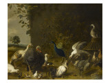 Oiseaux de Basse-Cour Giclée-Druck von Utrecht Van