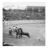 La corrida Reproduction procédé giclée